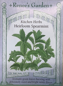 Mint - Heirloom Spearmint