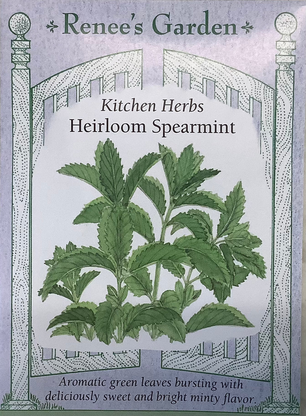 Mint - Heirloom Spearmint