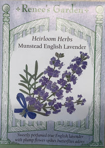 Lavender - Heirloom Munstead English