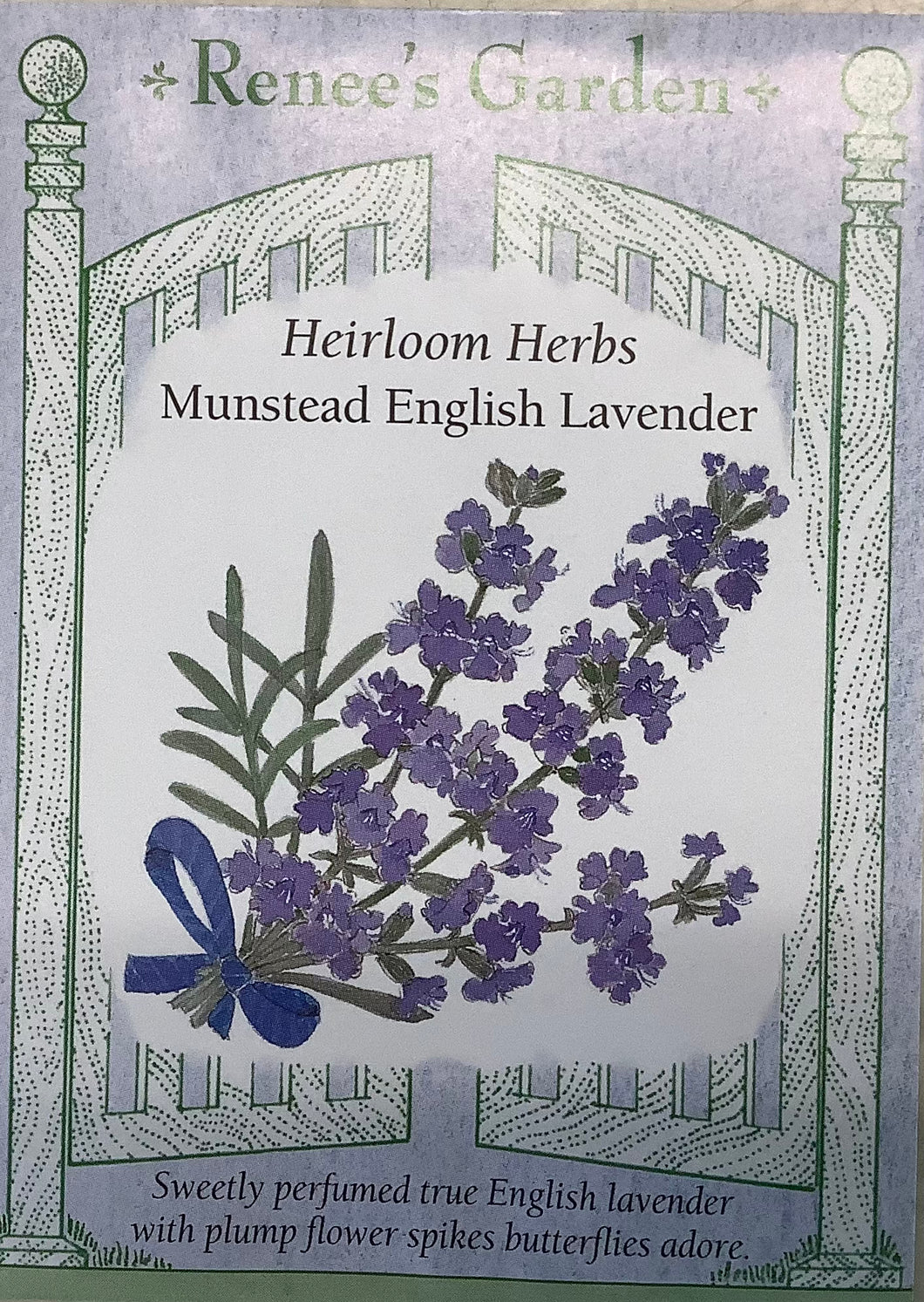 Lavender - Heirloom Munstead English