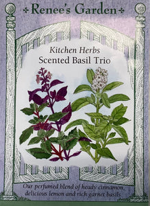 Basil - Scented Basil Trio