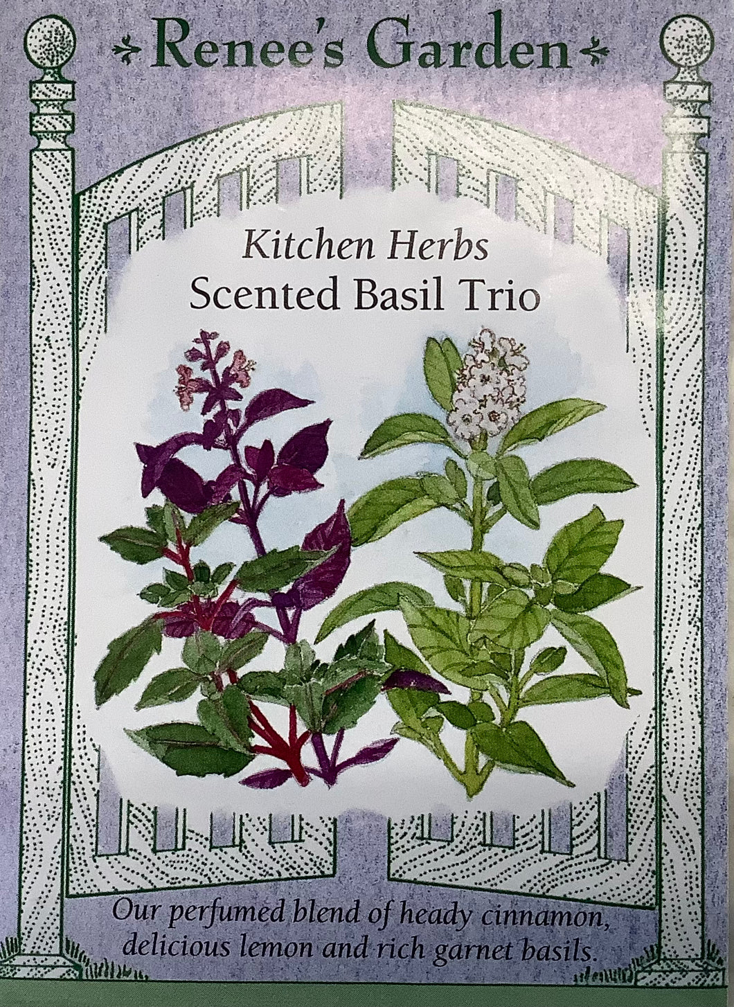 Basil - Scented Basil Trio