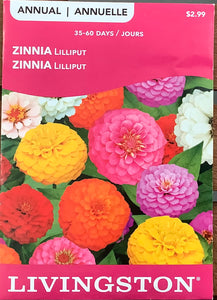 Livingston: Zinnia - Lilliput