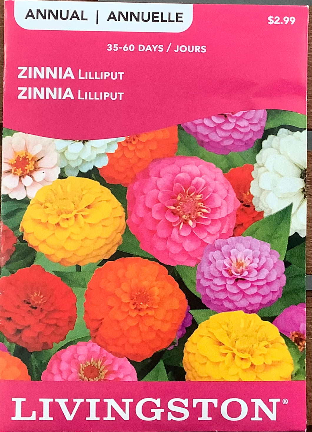 Livingston: Zinnia - Lilliput