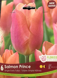 Tulip 'Salmon Prince' 12+ - 6 pack