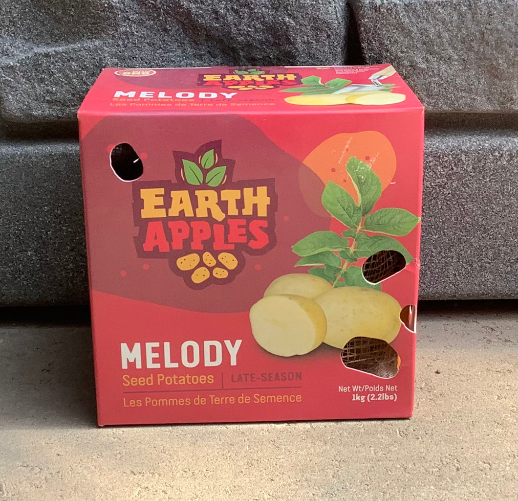 Melody Seed Potatoes - 2.2lbs