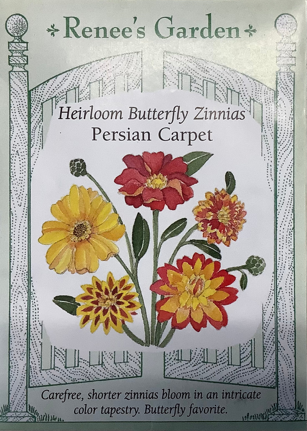 Zinnia - Persian Carpet