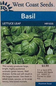 Basil: Lettuce Leaf