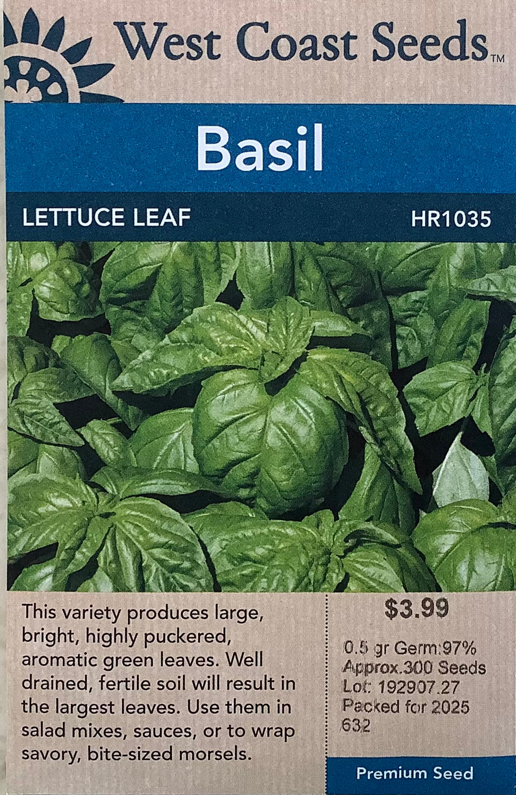 Basil: Lettuce Leaf