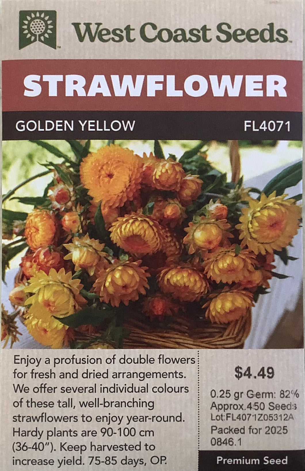 Strawflower - Golden Yellow