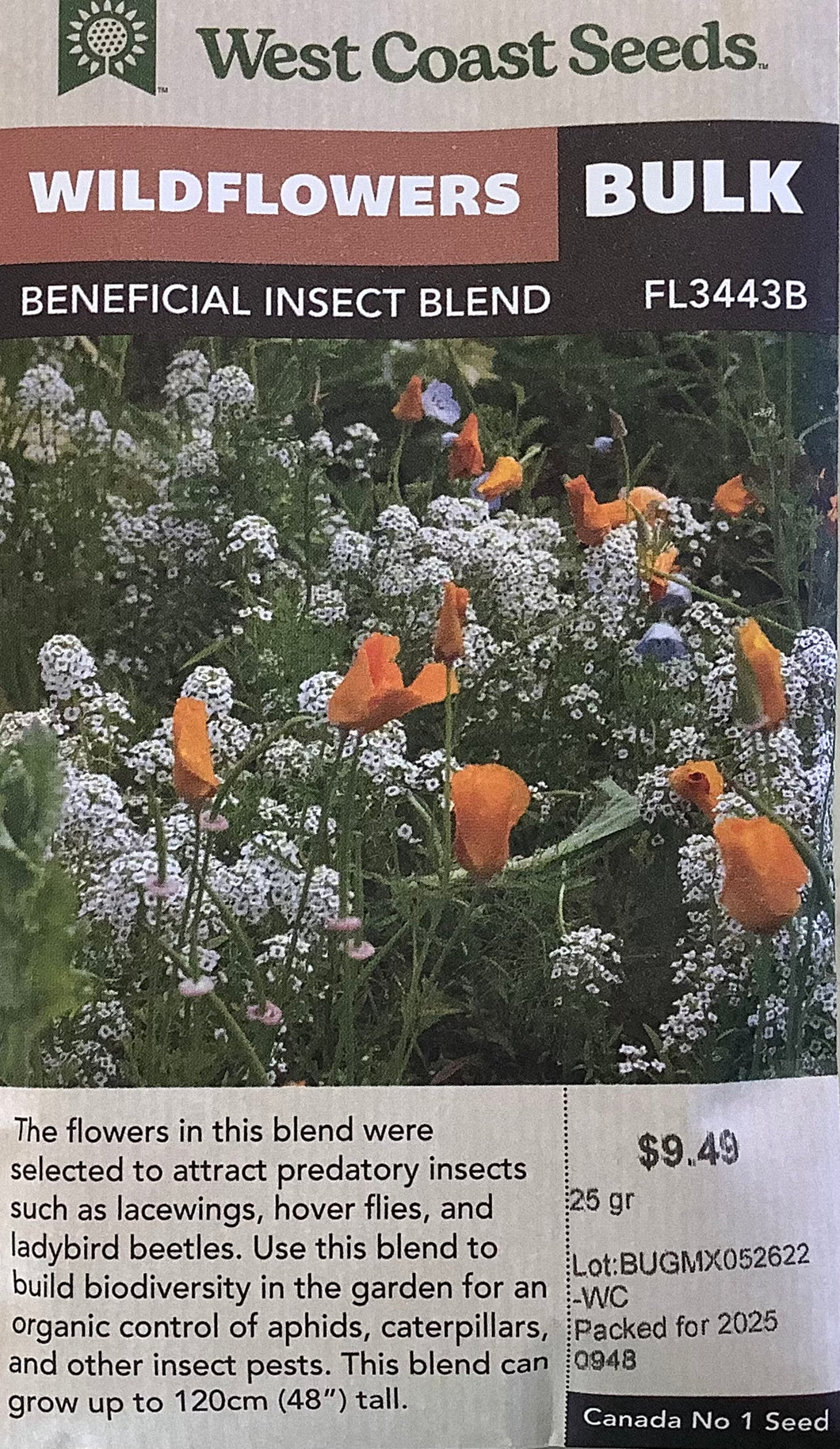 Wildflowers - Beneficial Insect Blend