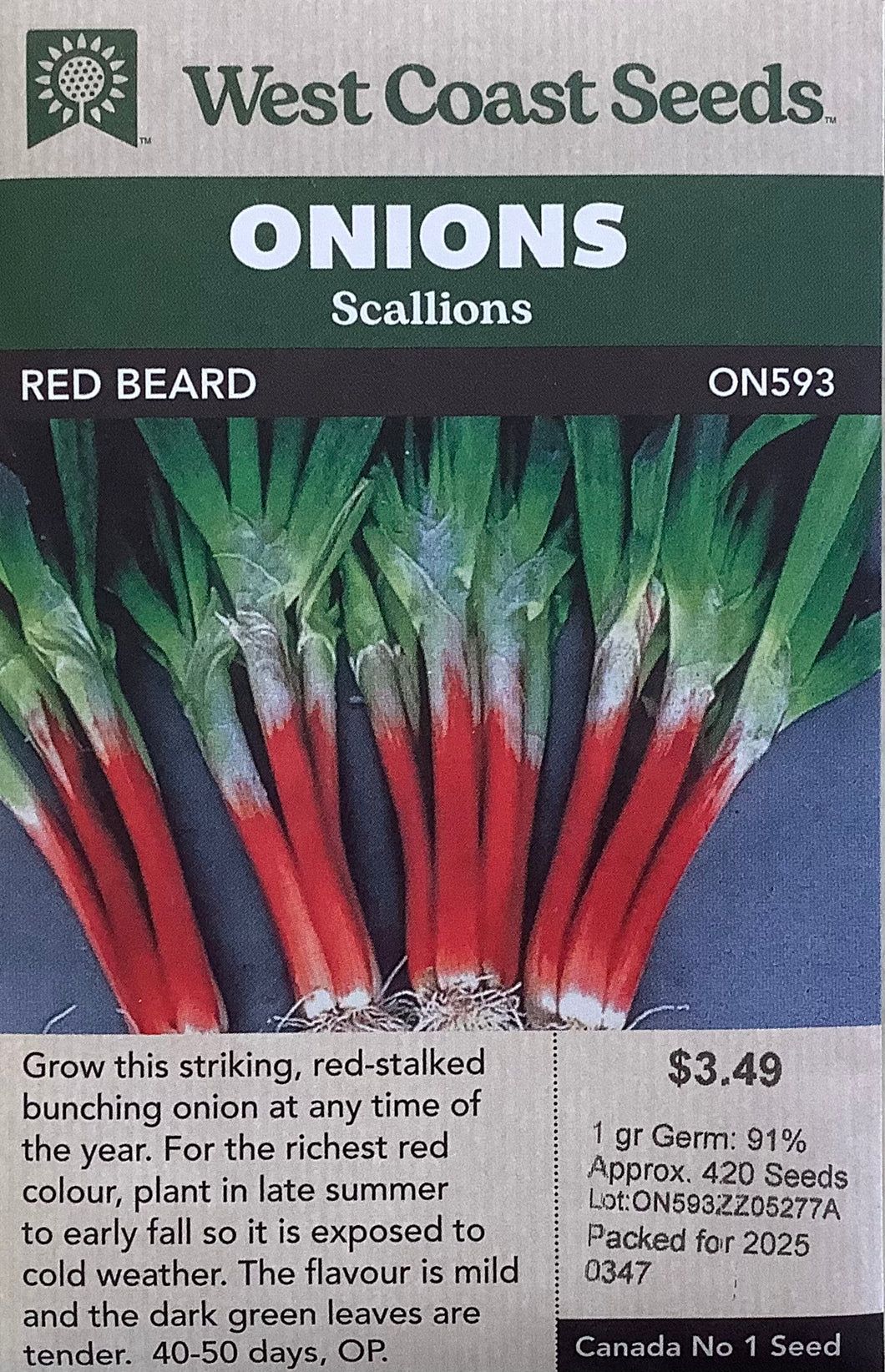 Onions -Red Beard