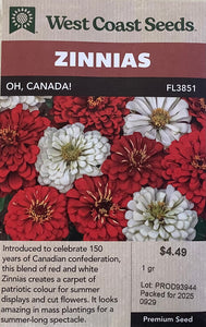 Zinnia - Oh, Canada!