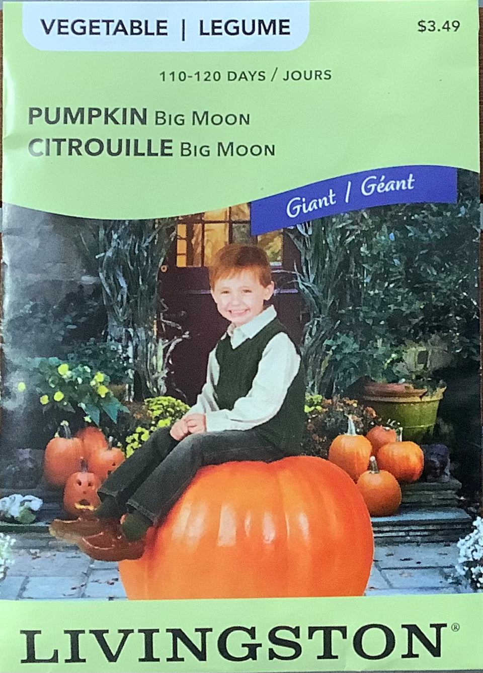 Livingston: Non-GMO Pumpkin: Big Moon