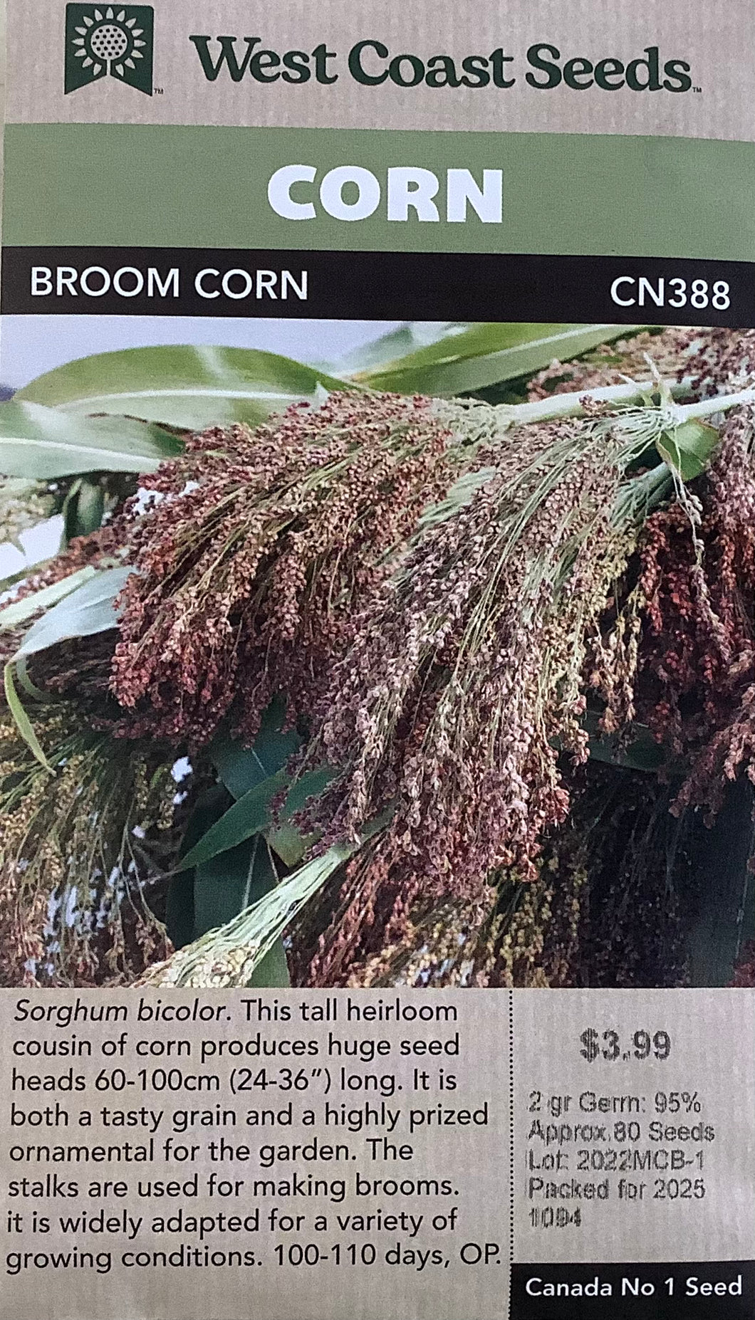Corn - Mixed Colours Broom