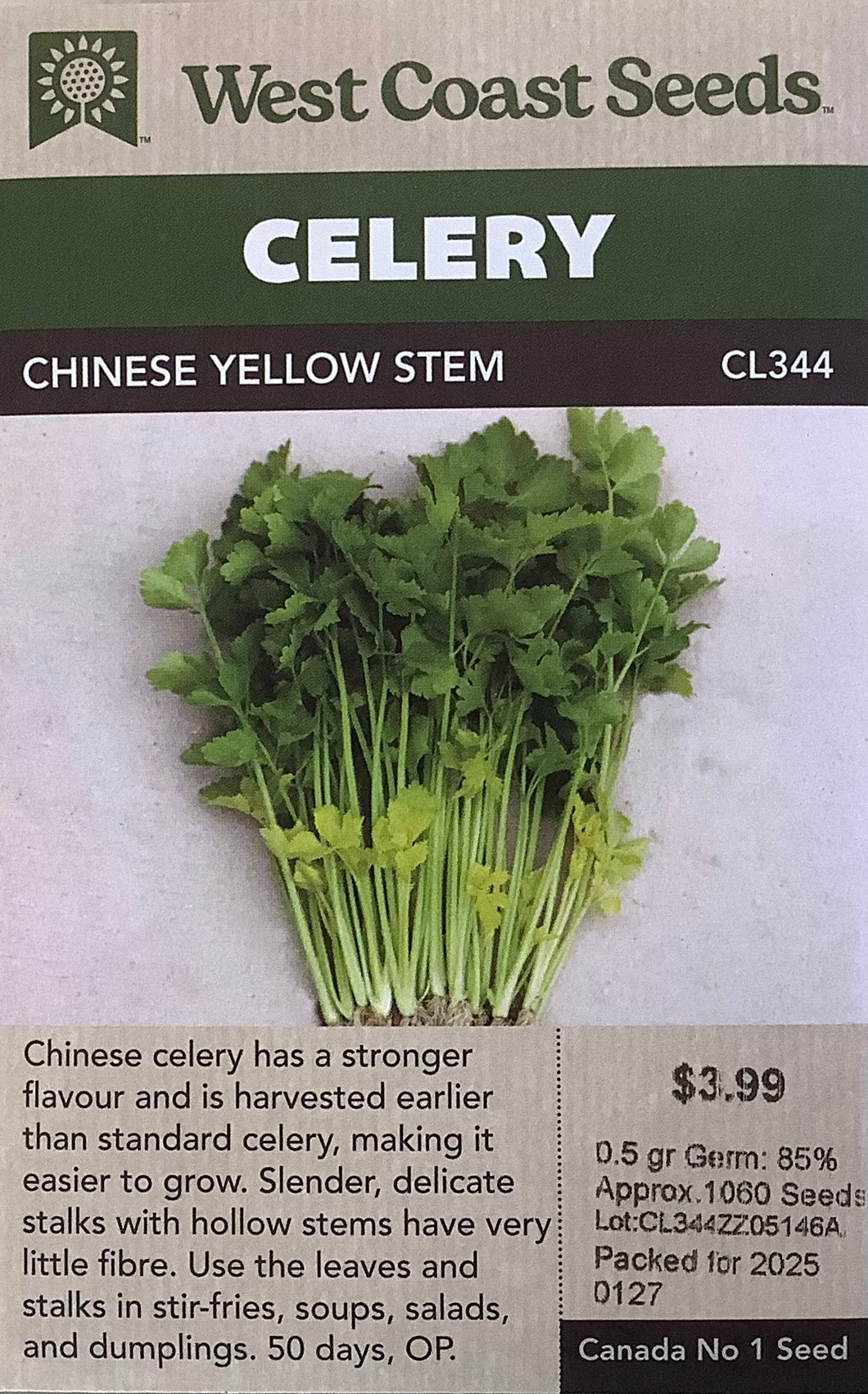 Celery - Chinese Yellow Stem
