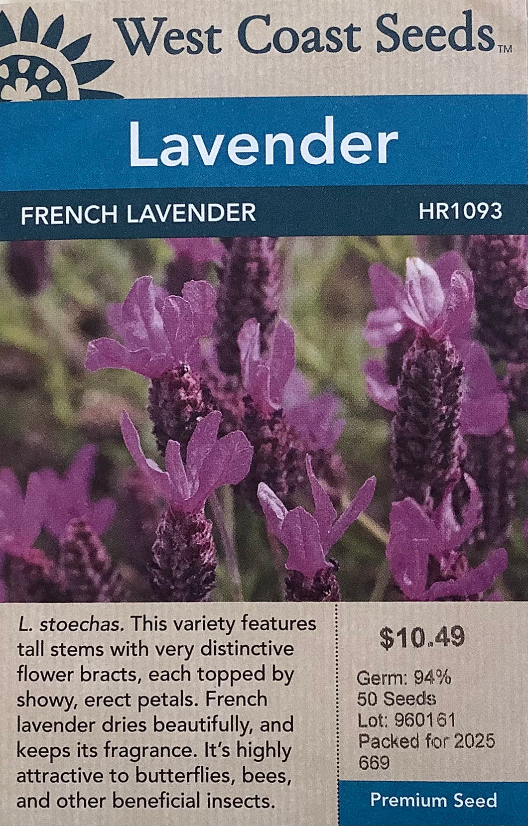 Lavender - French