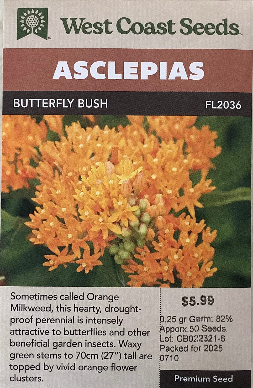 Asclepias : Butterfly Bush