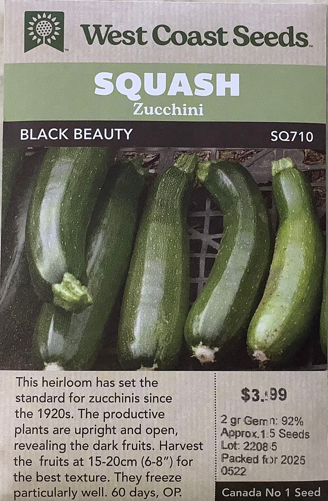 Squash-Summer - Black Beauty