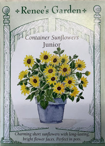 Sunflower - Container Junior