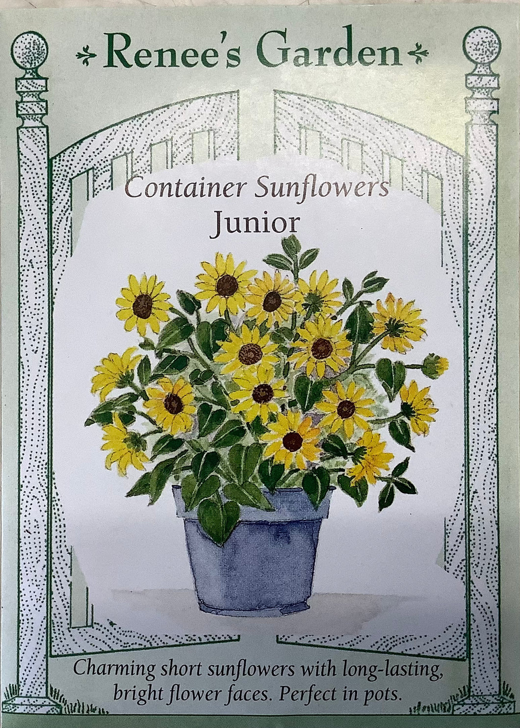 Sunflower - Container Junior