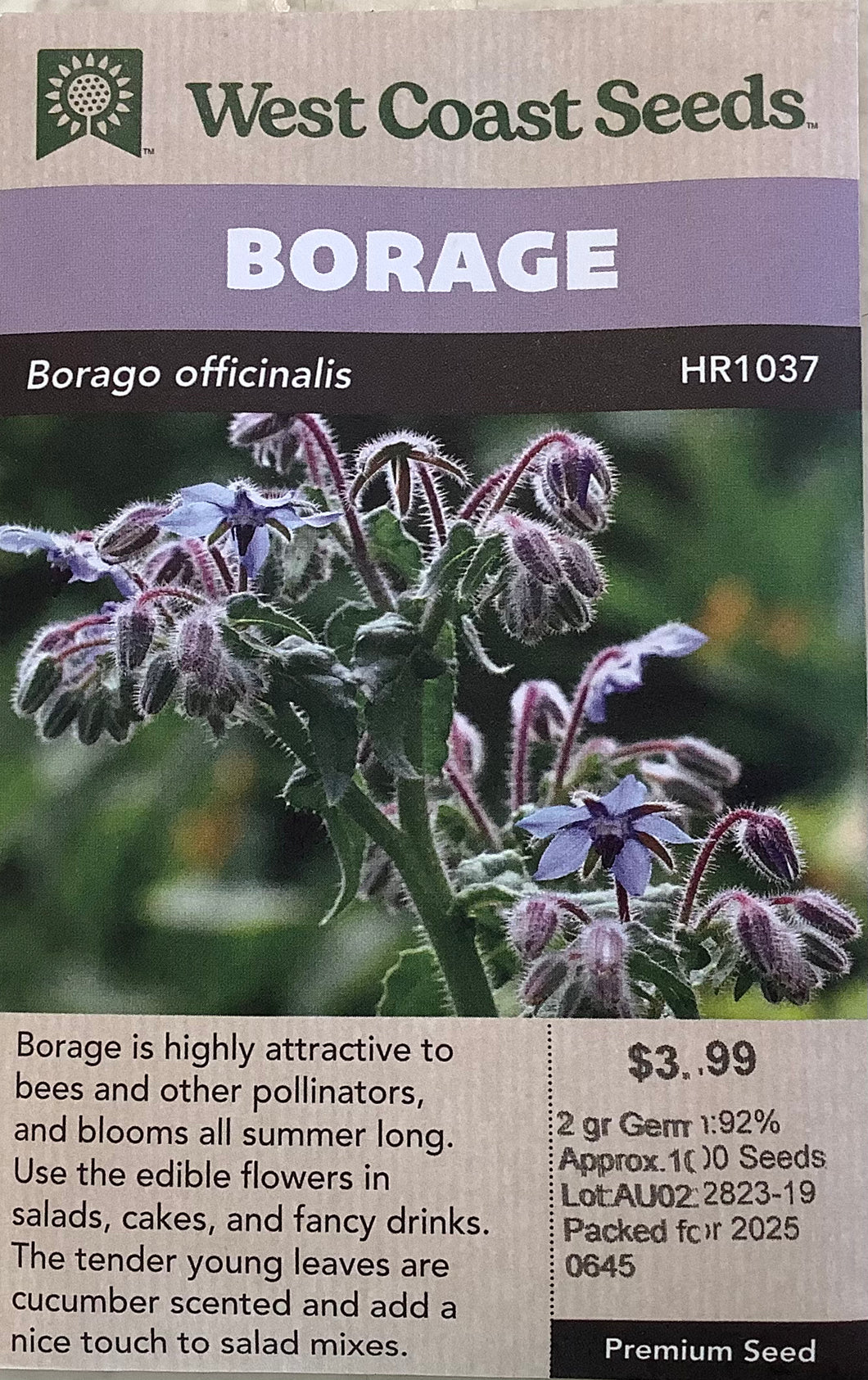 Borage