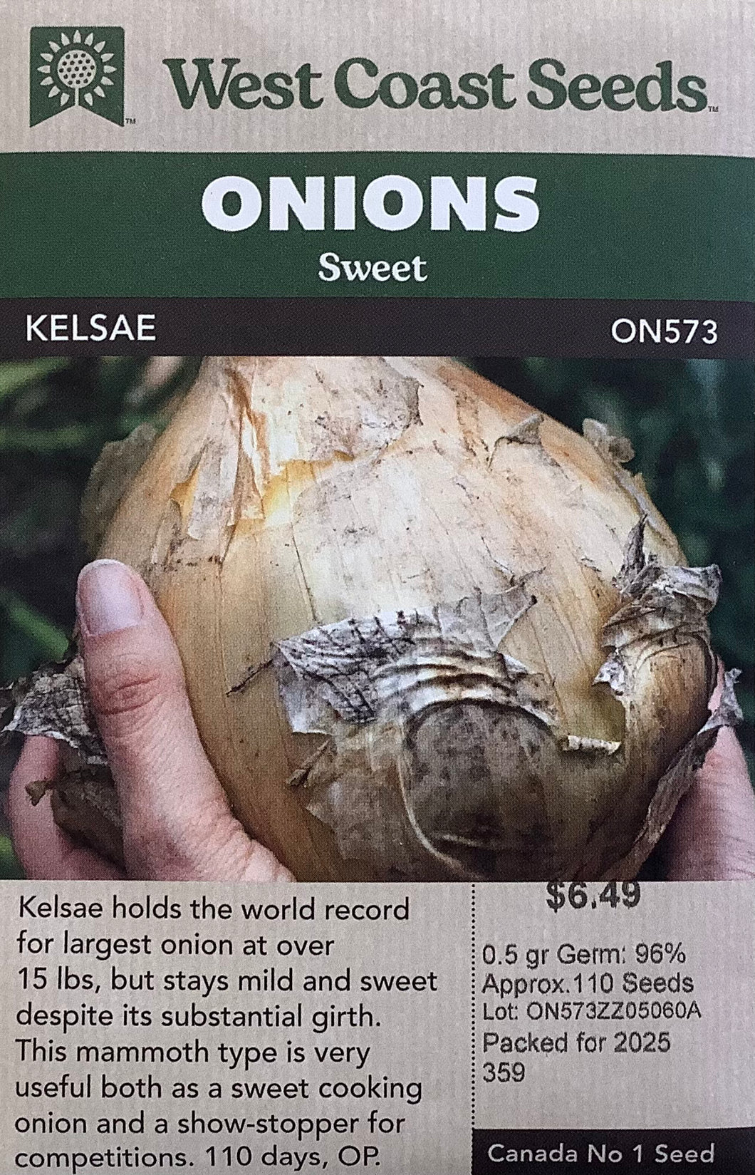 Onions -Kelsae