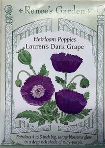 Poppies - Heirloom Lauren's Dark Grape