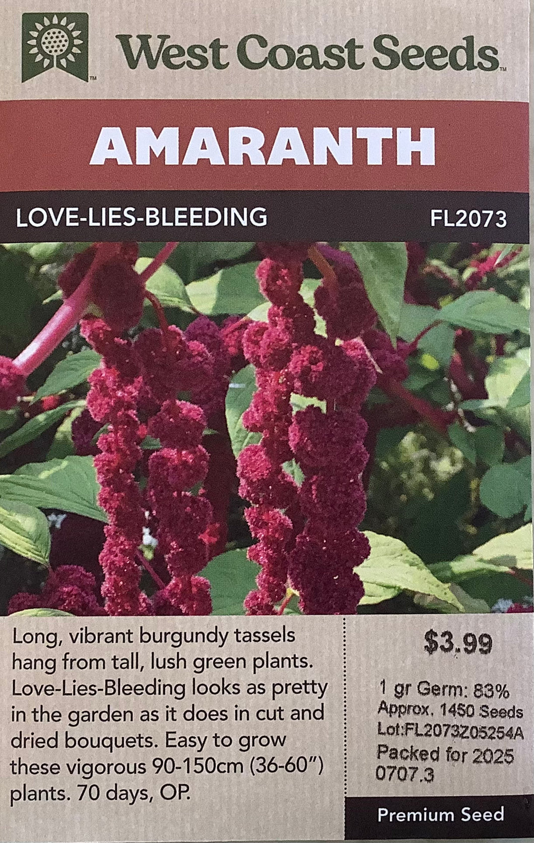 Amaranth - Love Lies Bleeding