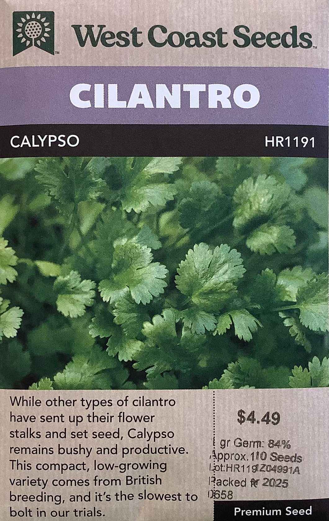 Cilantro: Calypso