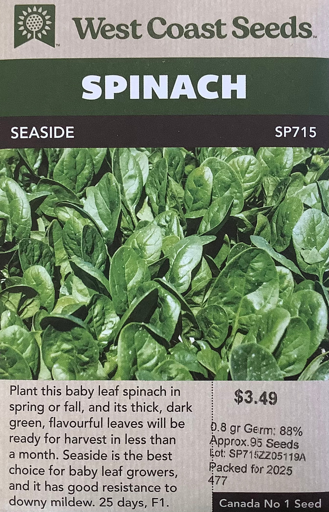 Spinach: Seaside