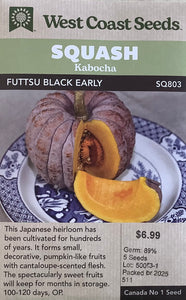 Squash - Futtsu Black Early
