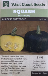 Squash - Burgess Buttercup