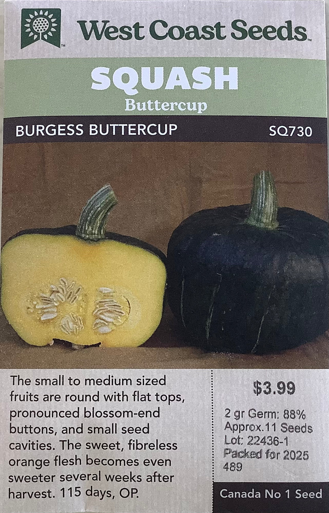 Squash - Burgess Buttercup
