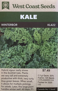 Kale - Winterbor