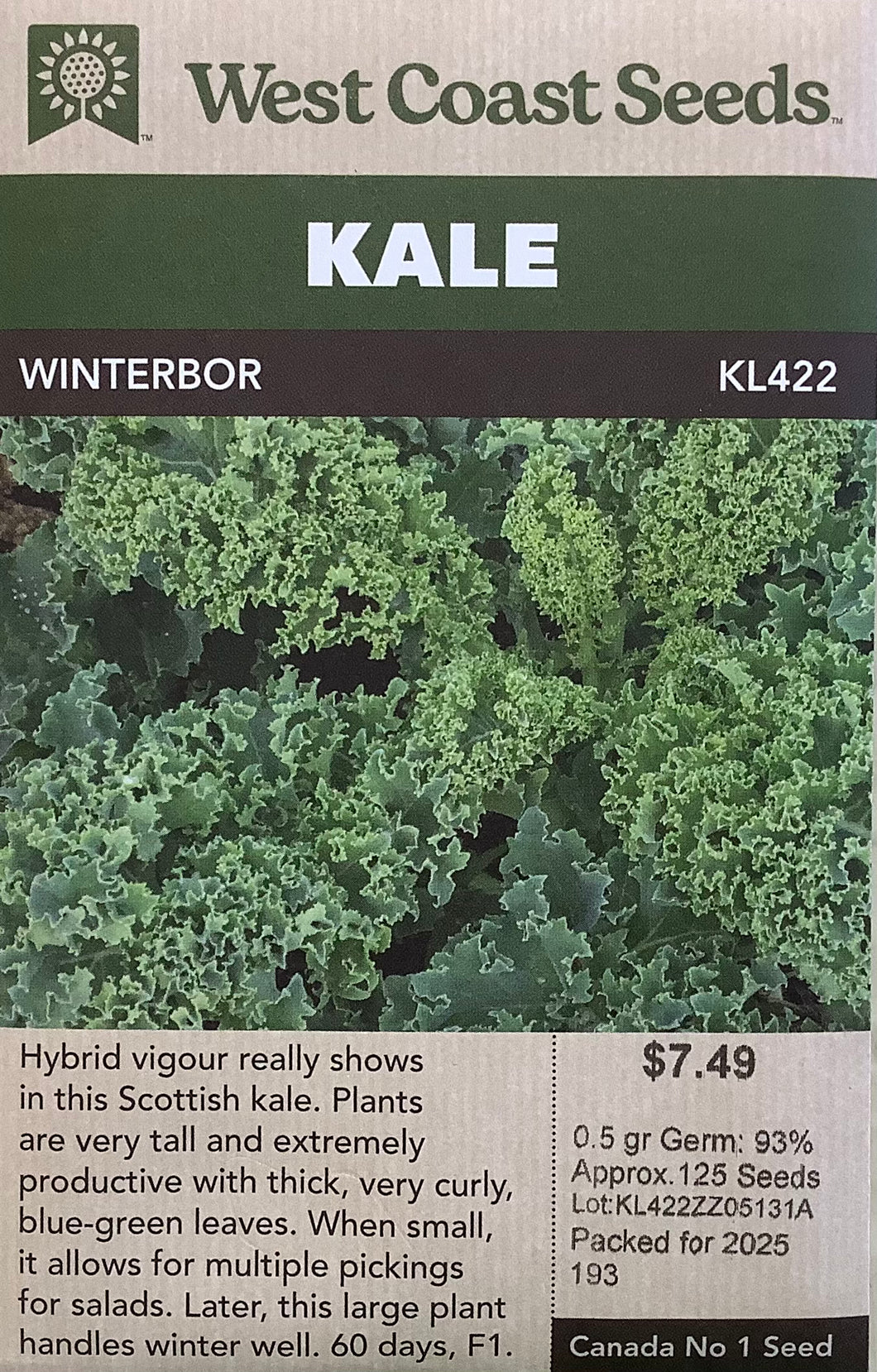 Kale - Winterbor