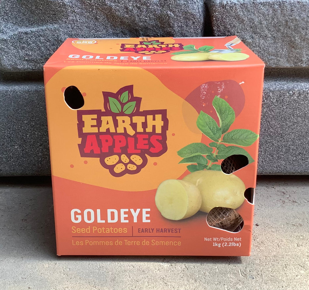 Gold Eye Seed Potatoes - 2.2lbs