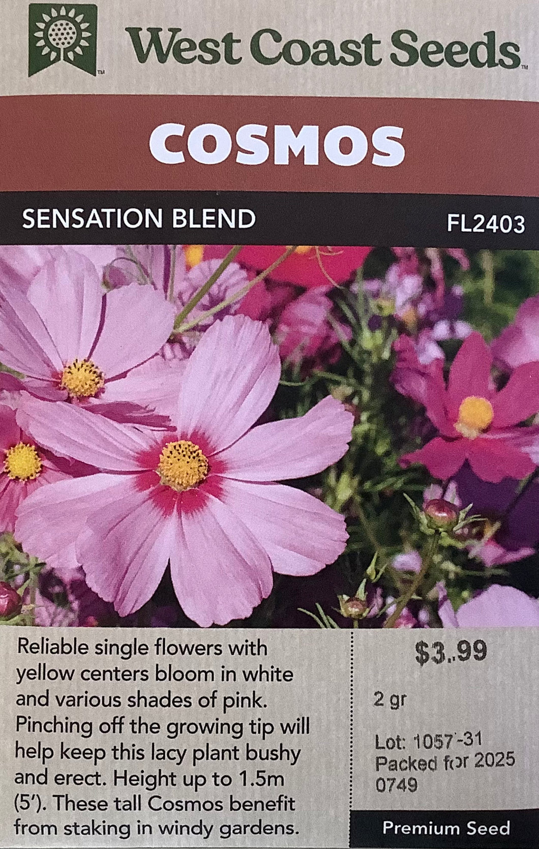Cosmos - Sensation Mix