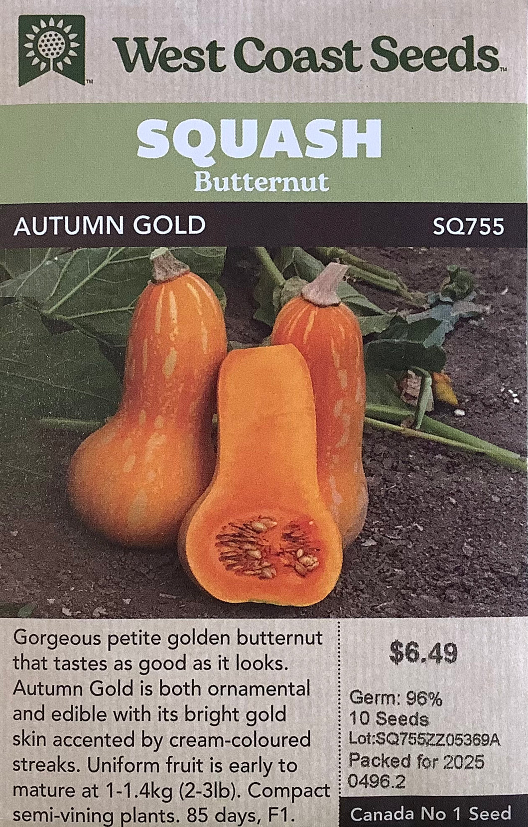 Squash - Autumn Gold