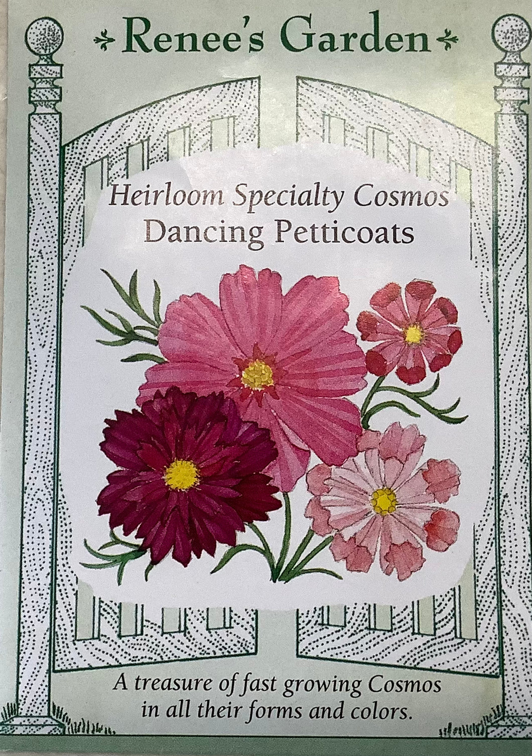 Cosmos - Heirloom Dancing Petticoats