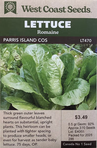 Lettuce - Parris Island