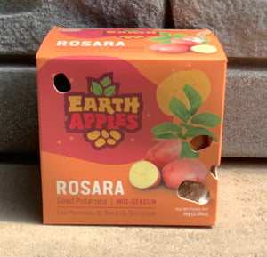 Rosara Seed Potatoes - 2.2lbs