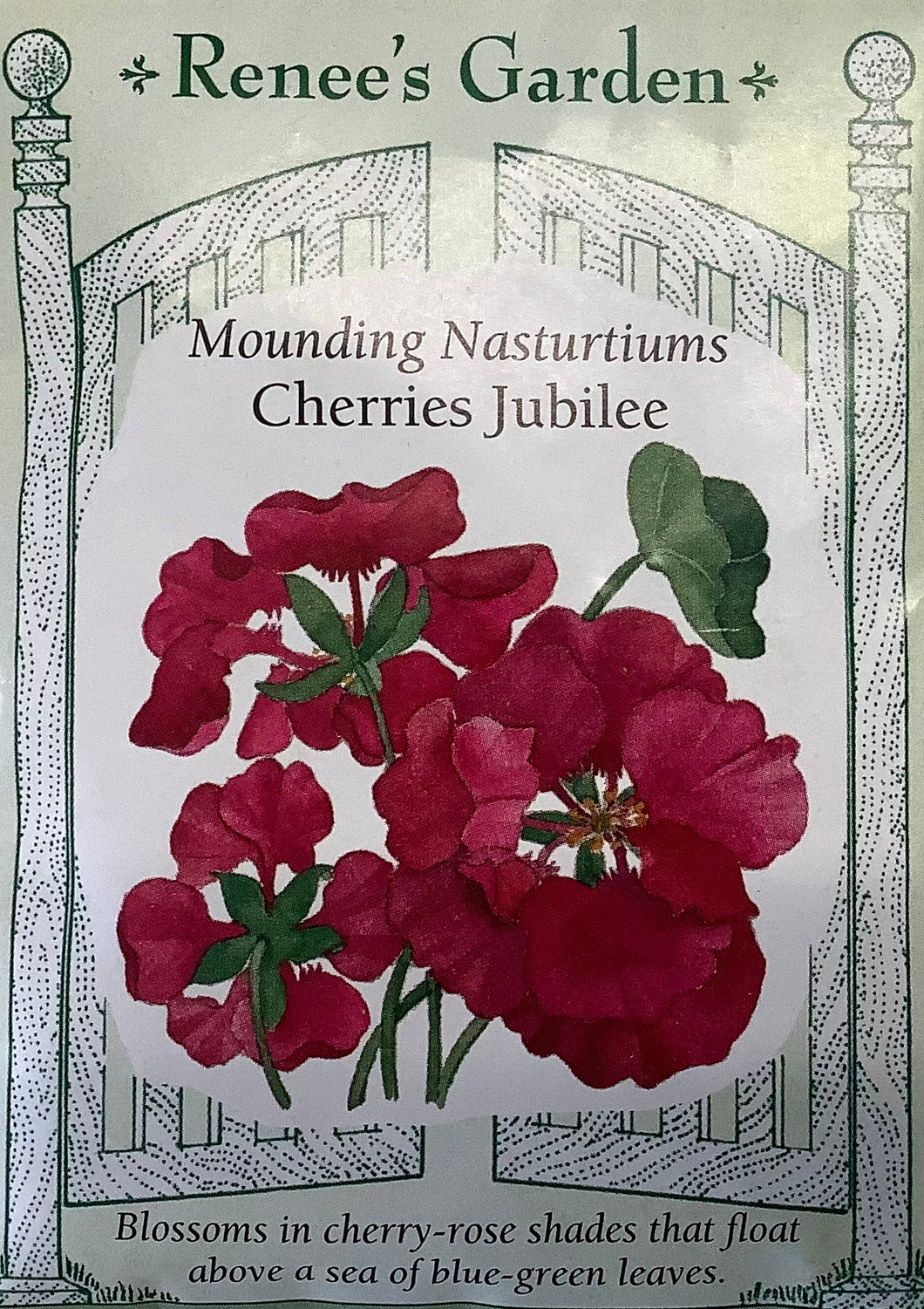 Nasturtiums - Mounding Cherries Jubilee