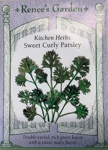 Parsley - Sweet Curly
