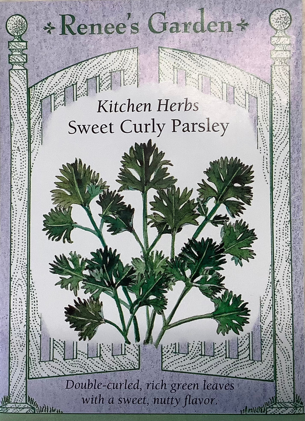 Parsley - Sweet Curly