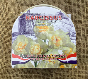 Narcissus: Paperwhite Ceramic Bowl Kit