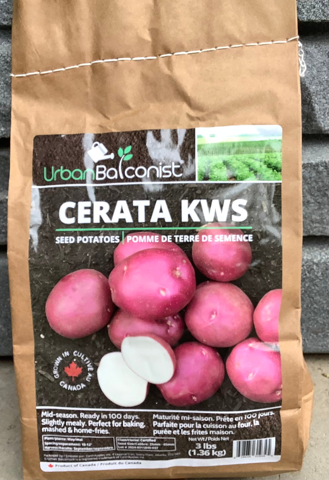 Cerata KWS Seed Potatoes - 3lbs