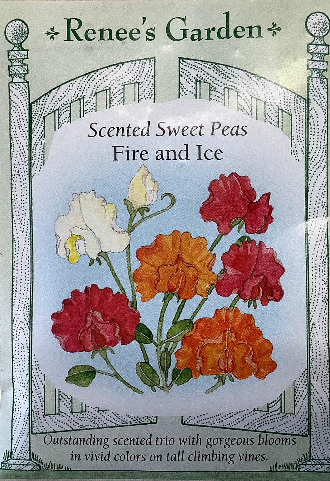 Sweet Pea - Scented Fire and Ice