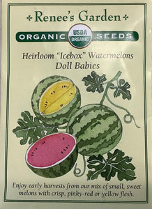 Watermelon - Heirloom Icebox Doll Babies