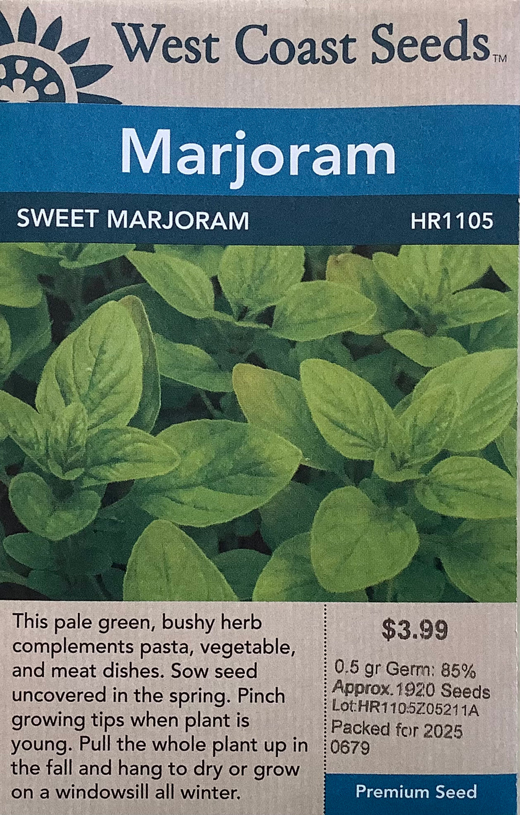 Marjoram - Sweet Marjoram